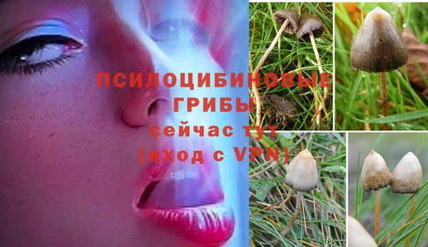 эйфоретик Верхнеуральск