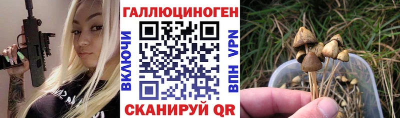 Псилоцибиновые грибы GOLDEN TEACHER  Кириллов 
