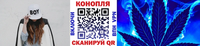 купить   Кириллов  Бошки Шишки сатива 